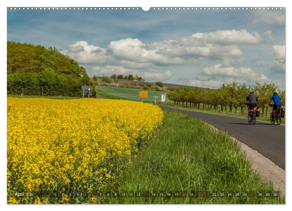 Weinland Franken (CALVENDO Wandkalender 2025)