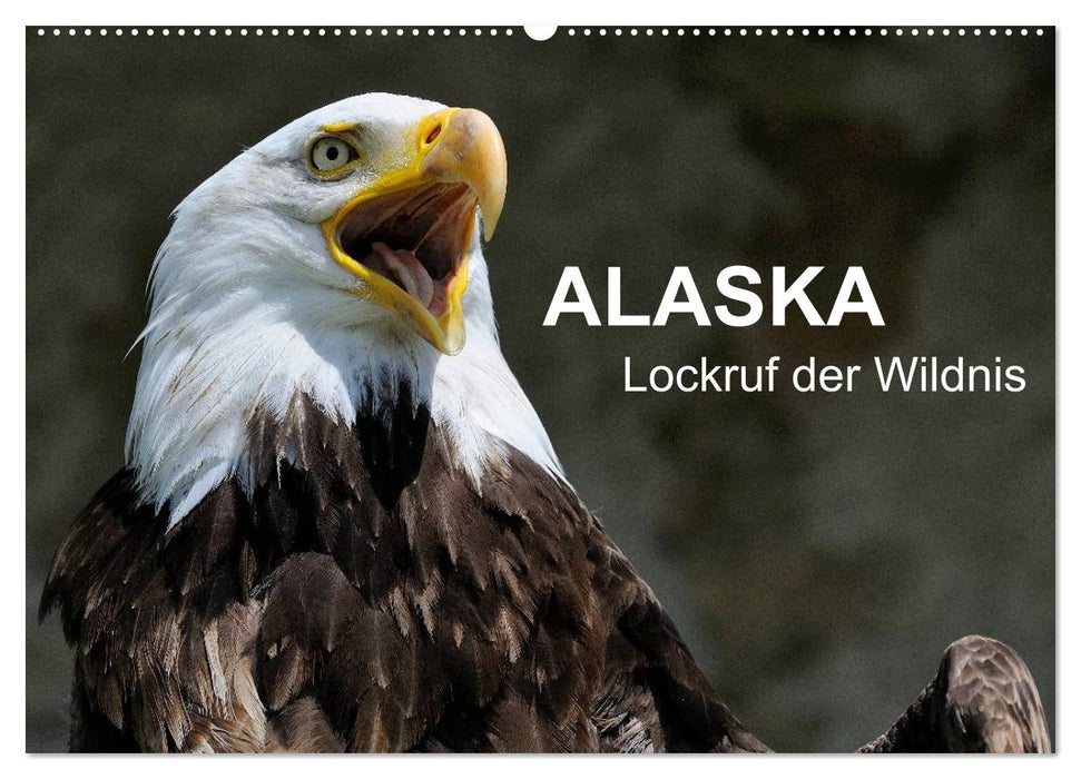 Alaska - Lockruf der Wildnis (CALVENDO Wandkalender 2025)