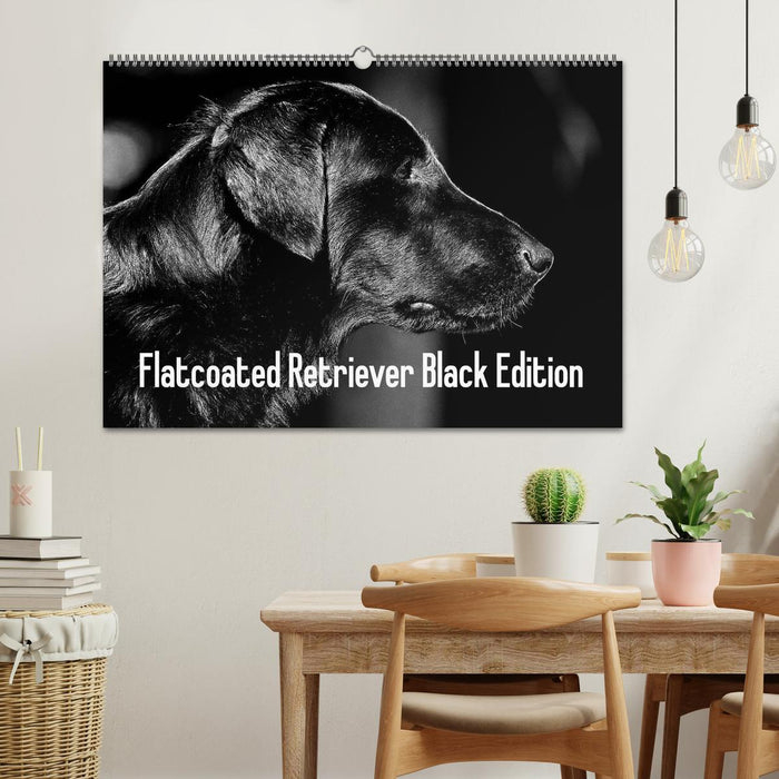 Flatcoated Retriever Black Edition (CALVENDO Wandkalender 2025)