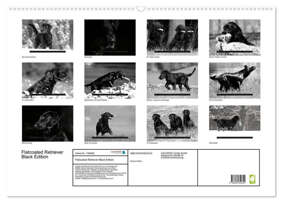 Flatcoated Retriever Black Edition (CALVENDO Wandkalender 2025)