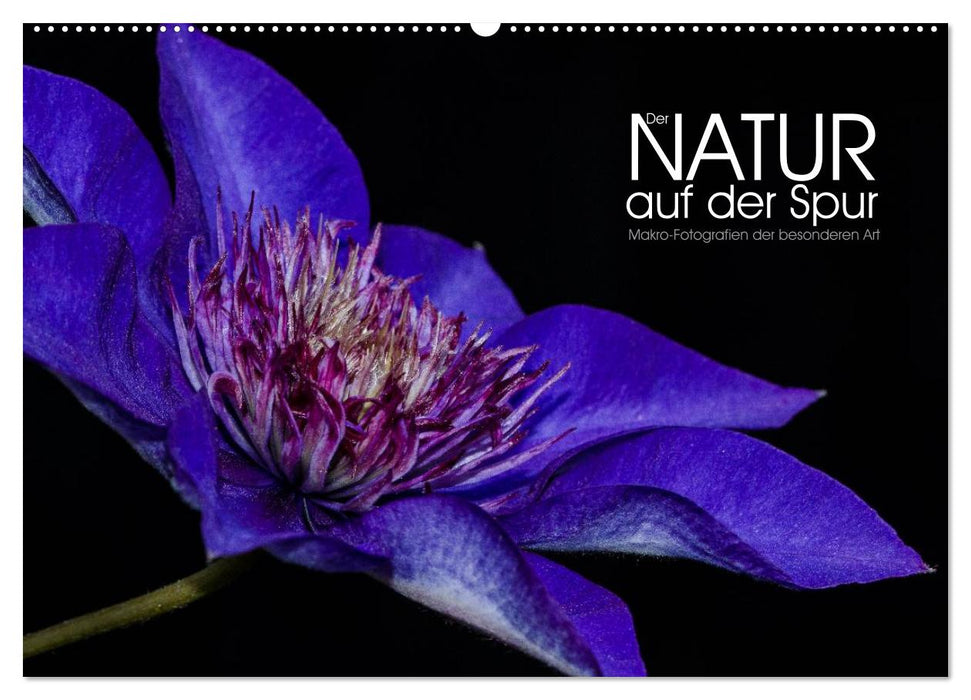 Der Natur auf der Spur - Makro-Fotografien der besonderen Art (CALVENDO Wandkalender 2025)