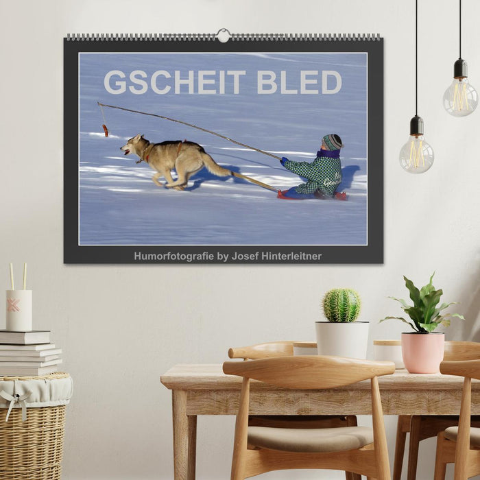 GSCHEIT BLED - Humorfotografie (CALVENDO Wandkalender 2025)