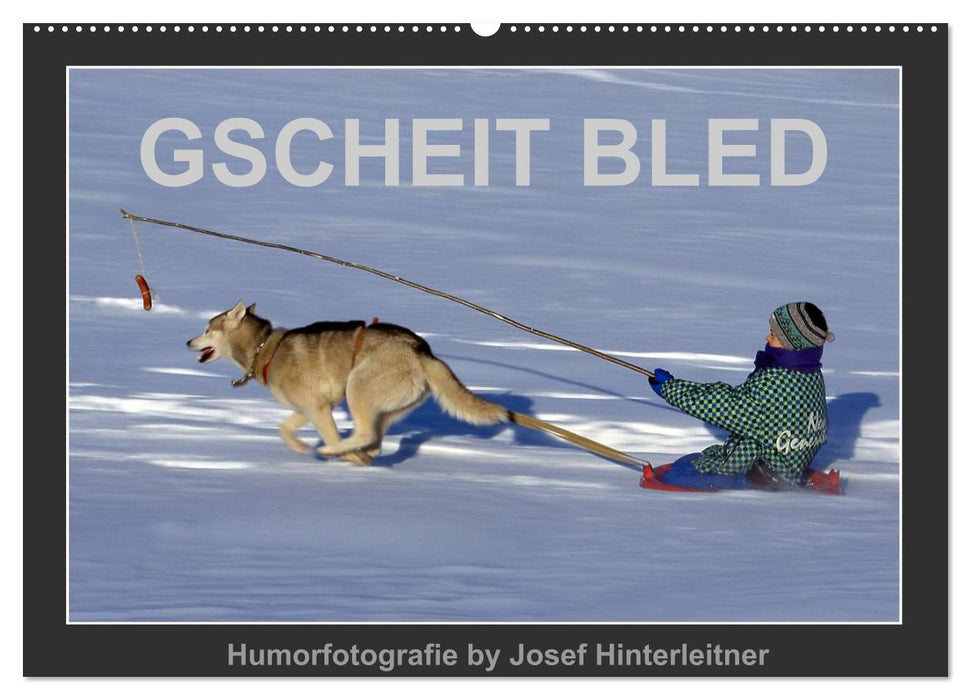 GSCHEIT BLED - Humorfotografie (CALVENDO Wandkalender 2025)