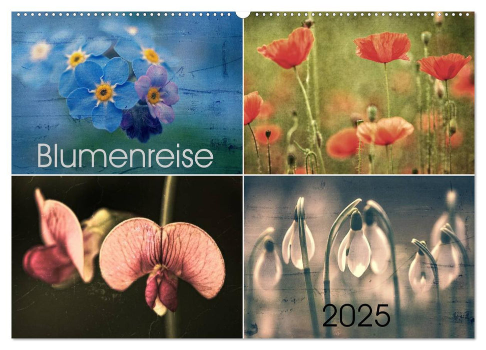 Blumenreise 2025 (CALVENDO Wandkalender 2025)