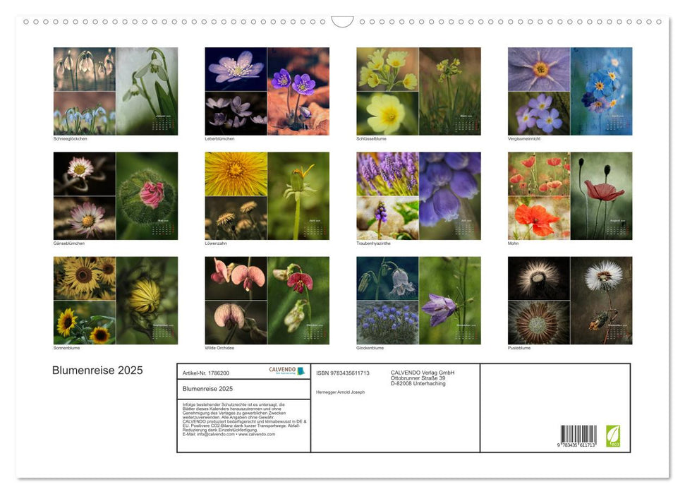 Blumenreise 2025 (CALVENDO Wandkalender 2025)