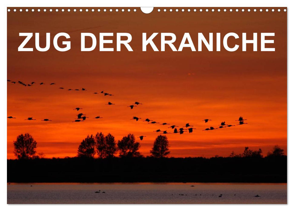 Zug der Kraniche (CALVENDO Wandkalender 2025)