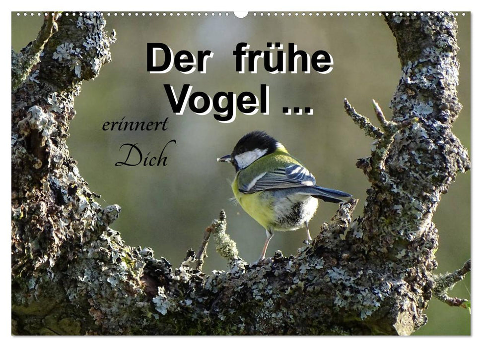 Der frühe Vogel ... erinnert Dich (CALVENDO Wandkalender 2025)