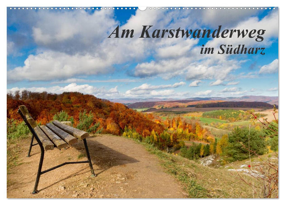 Am Karstwanderweg im Südharz (CALVENDO Wandkalender 2025)