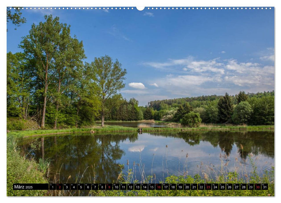 Jakobsweg Steigerwald (CALVENDO Wandkalender 2025)