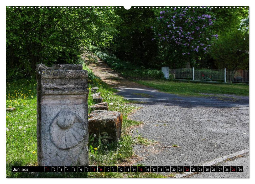 Jakobsweg Steigerwald (CALVENDO Wandkalender 2025)