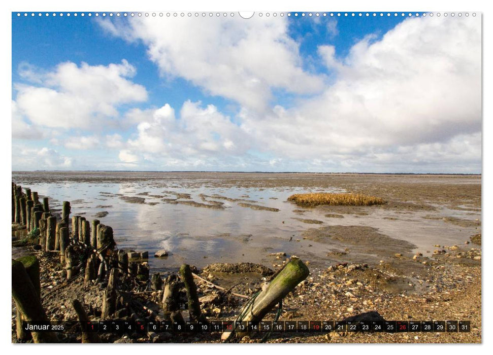 Rømø (CALVENDO Wandkalender 2025)