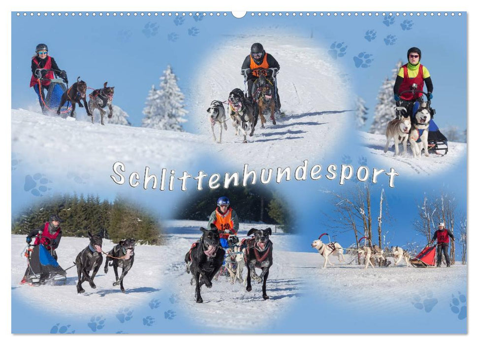 Schlittenhundesport (CALVENDO Wandkalender 2025)