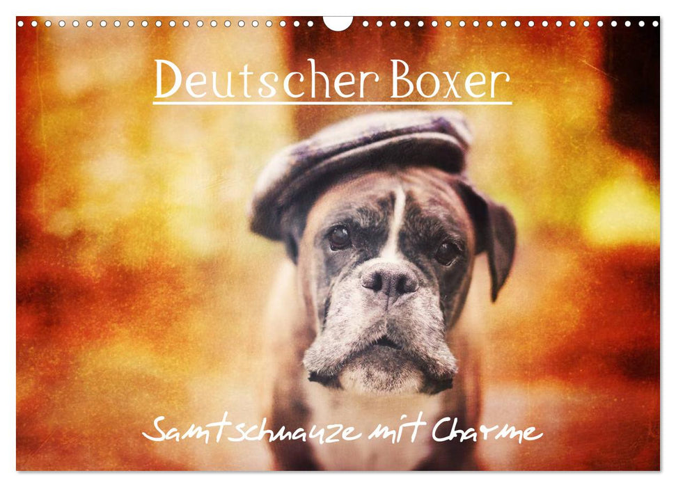 Deutscher Boxer (CALVENDO Wandkalender 2025)