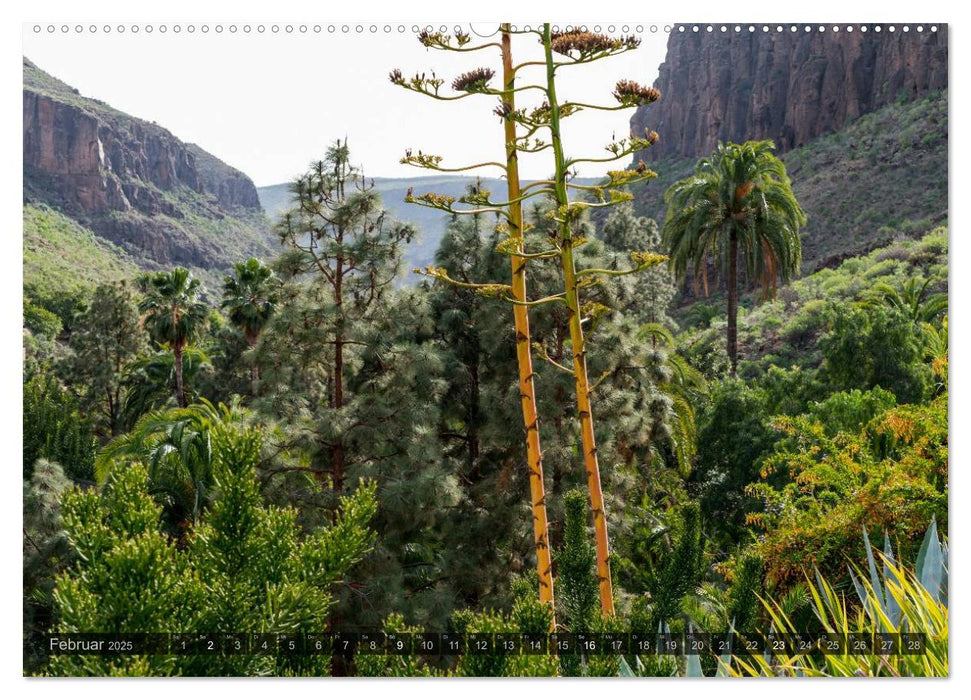 Grandioses Canaria (CALVENDO Wandkalender 2025)