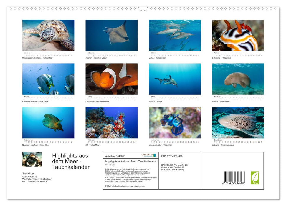 Highlights aus dem Meer - Tauchkalender (CALVENDO Premium Wandkalender 2025)