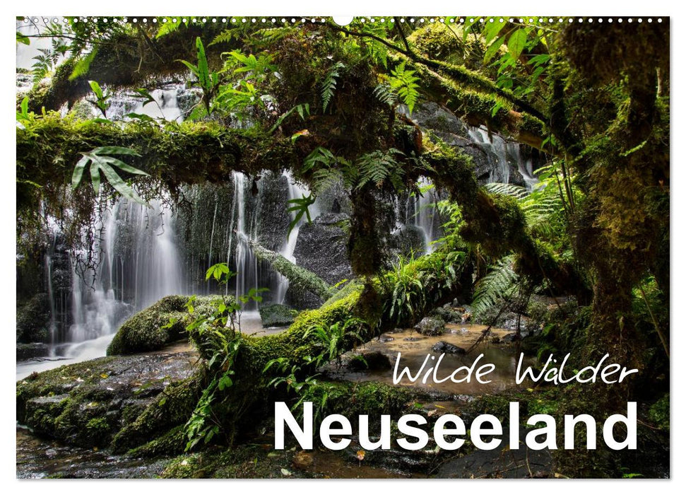 Neuseeland - Wilde Wälder (CALVENDO Wandkalender 2025)