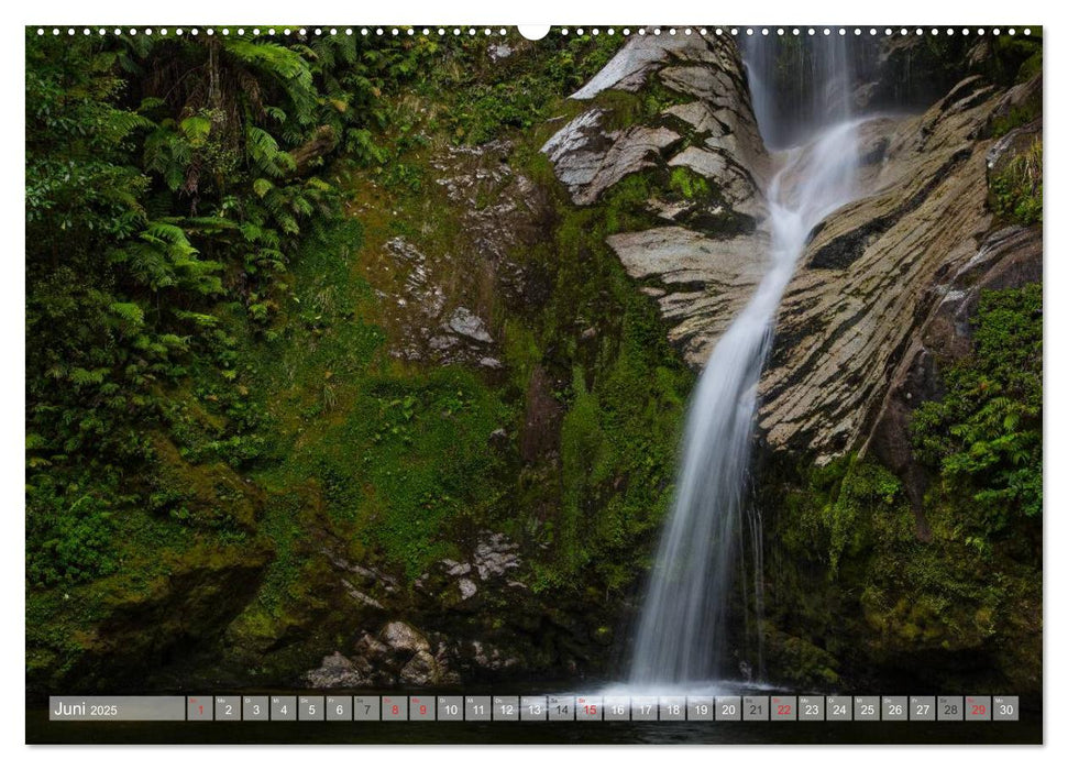 Neuseeland - Wilde Wälder (CALVENDO Wandkalender 2025)