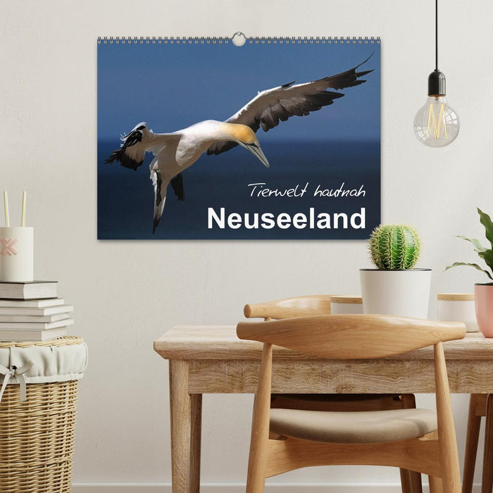 Neuseeland - Tierwelt hautnah (CALVENDO Wandkalender 2025)