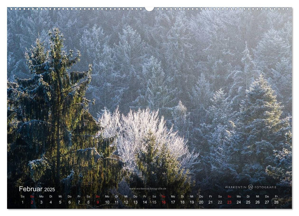 Romantisches Renchtal (CALVENDO Wandkalender 2025)