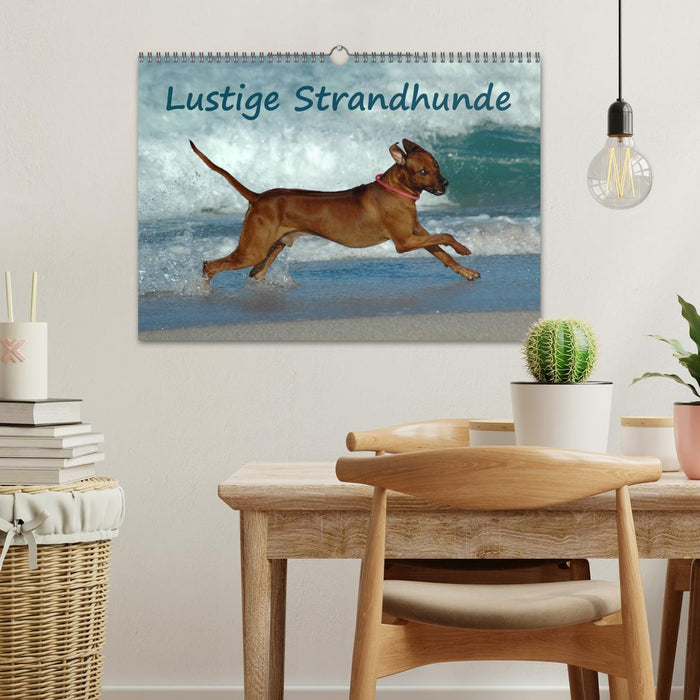 Lustige Strandhunde (CALVENDO Wandkalender 2025)