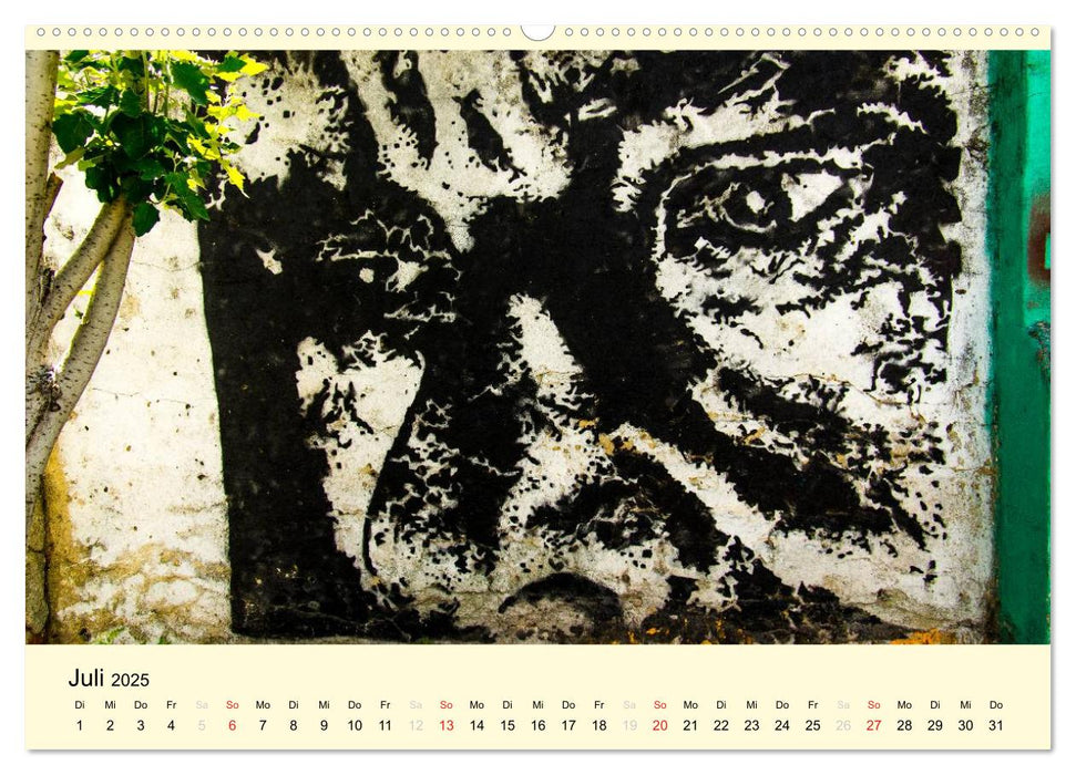 Streetart Lissabon (CALVENDO Premium Wandkalender 2025)