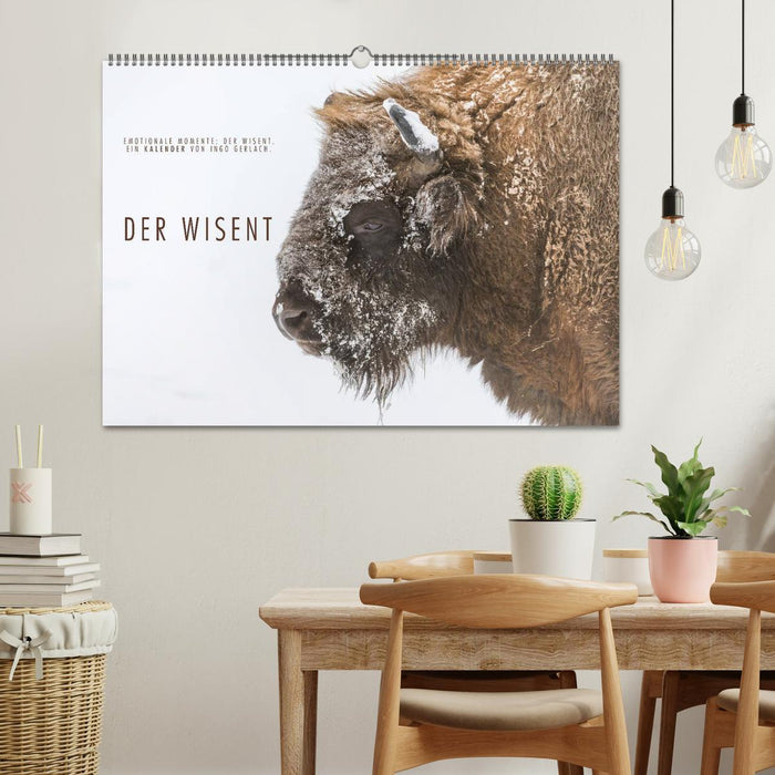 Emotionale Momente: Der Wisent. (CALVENDO Wandkalender 2025)