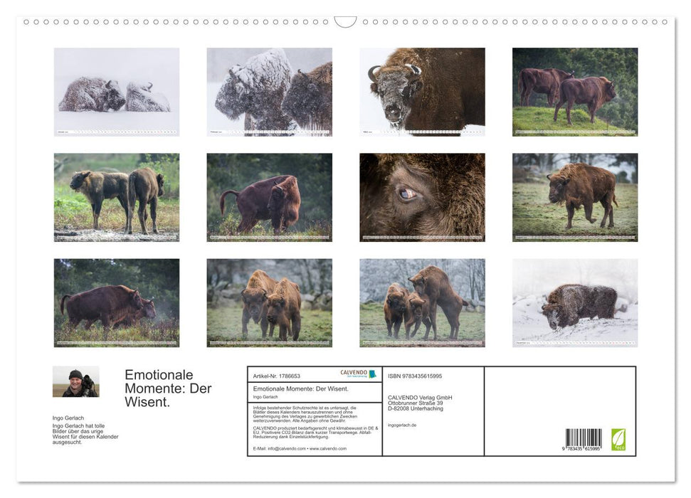 Emotionale Momente: Der Wisent. (CALVENDO Wandkalender 2025)