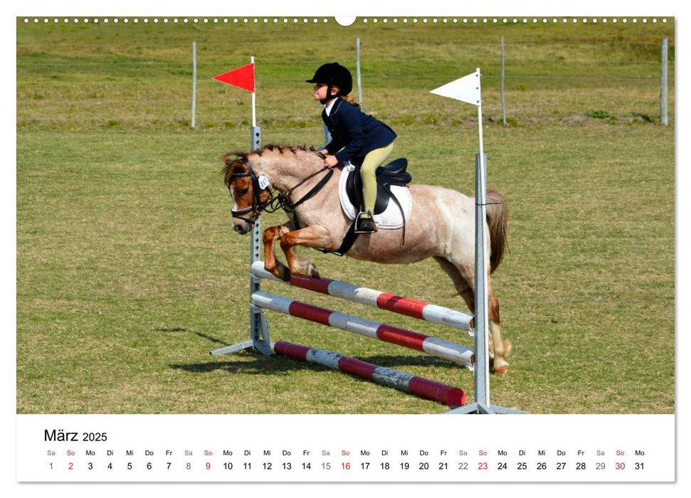 Eventing - Der ultimative Reitsport (CALVENDO Premium Wandkalender 2025)