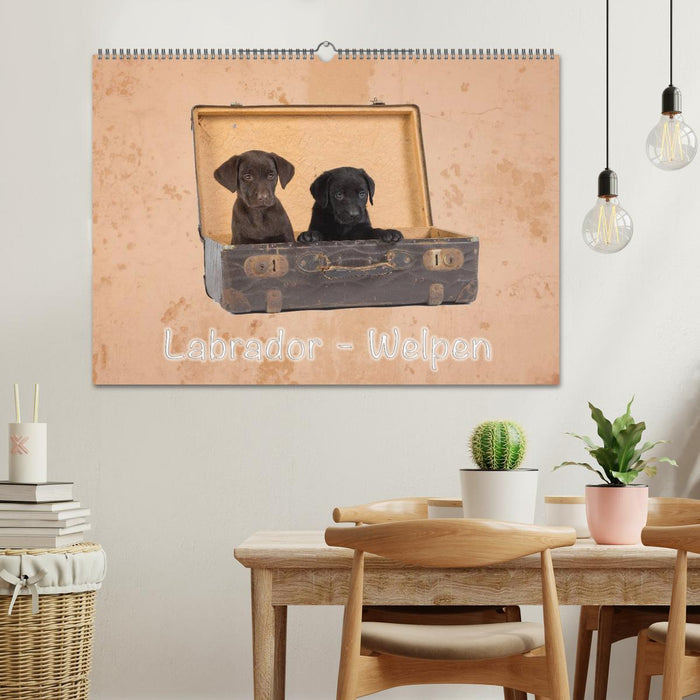 Labrador - Welpen (CALVENDO Wandkalender 2025)