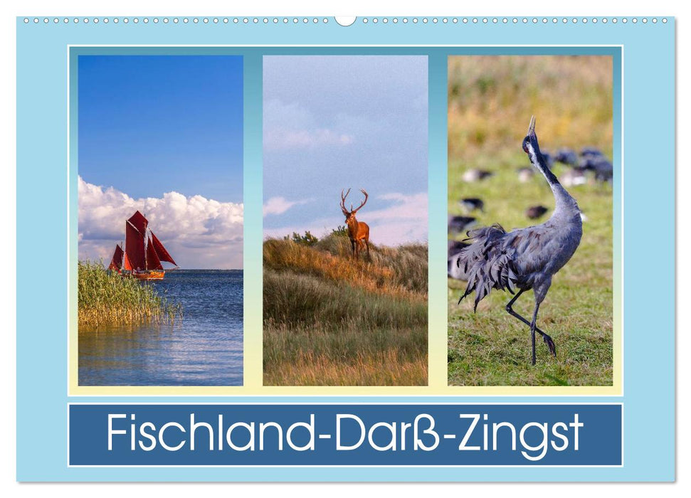 Fischland-Darß-Zingst (CALVENDO Wandkalender 2025)