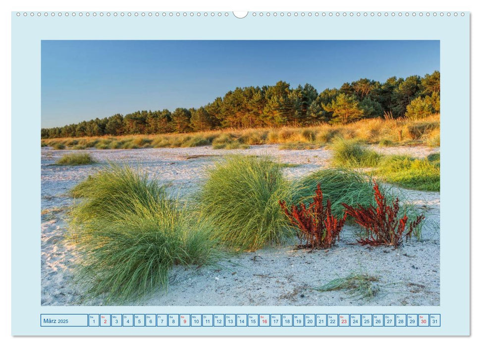 Fischland-Darß-Zingst (CALVENDO Wandkalender 2025)