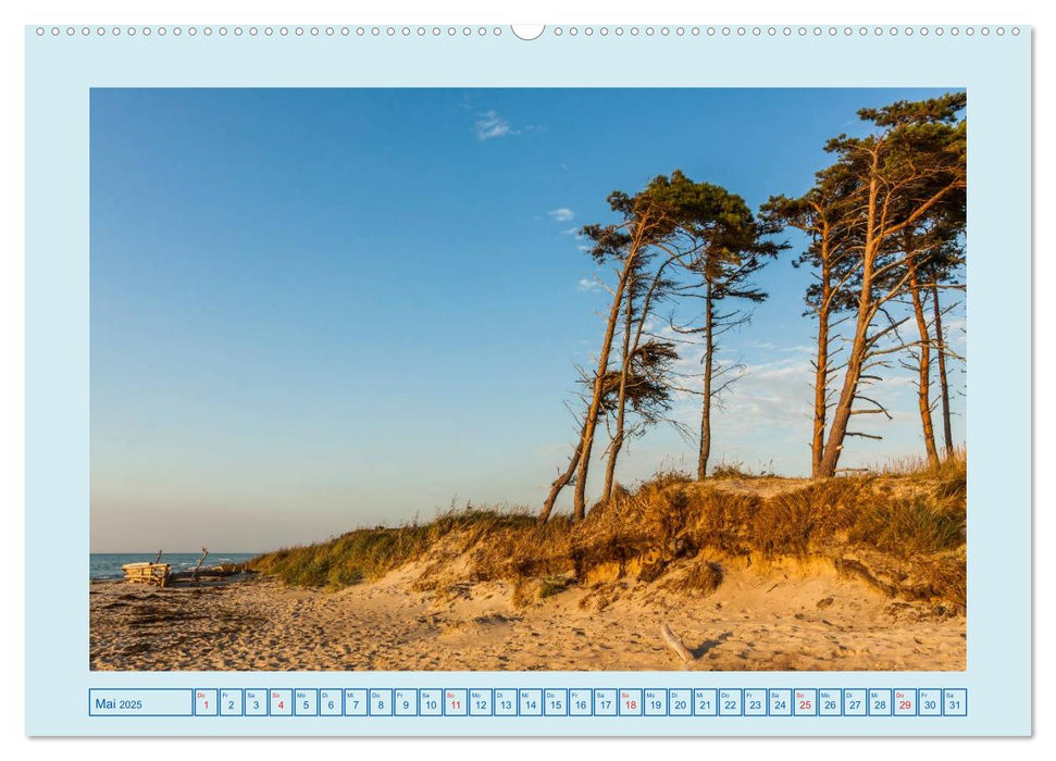 Fischland-Darß-Zingst (CALVENDO Wandkalender 2025)