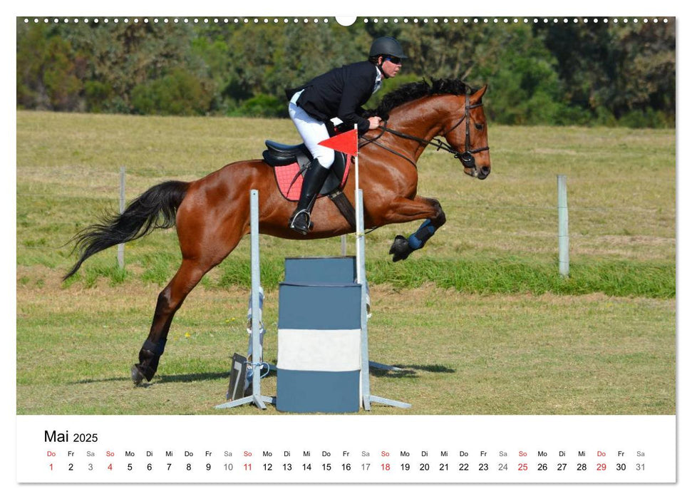 Vielseitigkeitsreiten (CALVENDO Premium Wandkalender 2025)