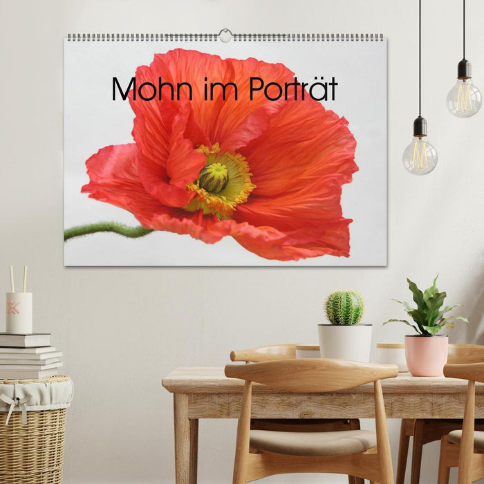 Mohn im Porträt (CALVENDO Wandkalender 2025)