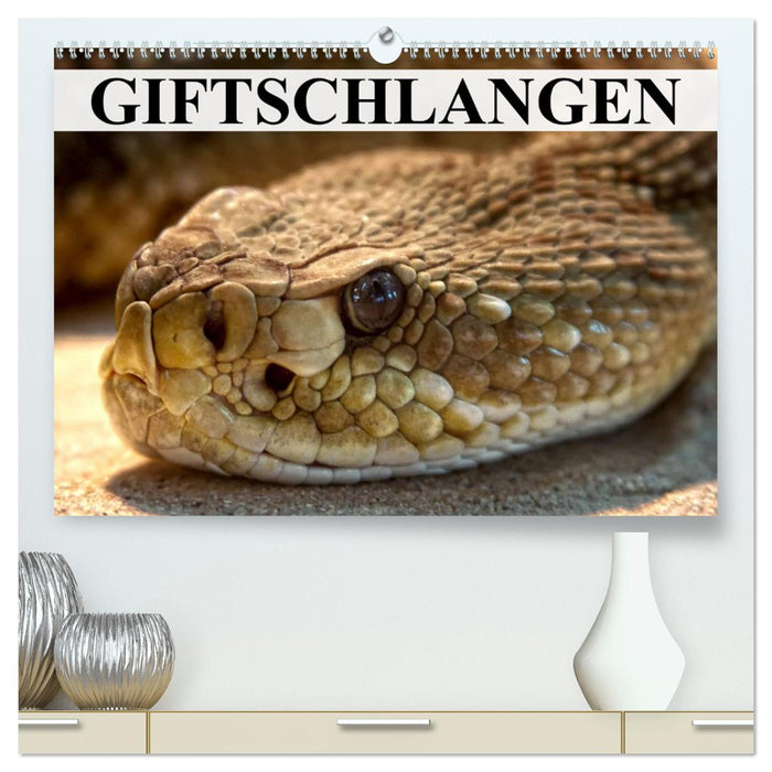 Giftschlangen (CALVENDO Premium Wandkalender 2025)