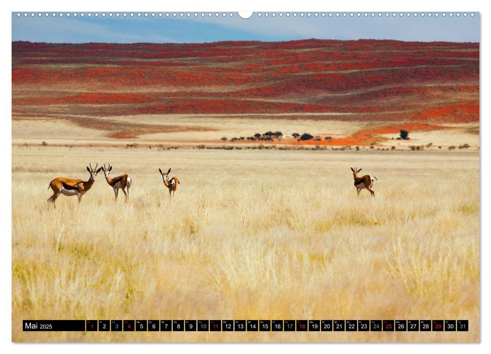 Namib Naukluft Nationalpark. NAMIBIA 2025 (CALVENDO Wandkalender 2025)