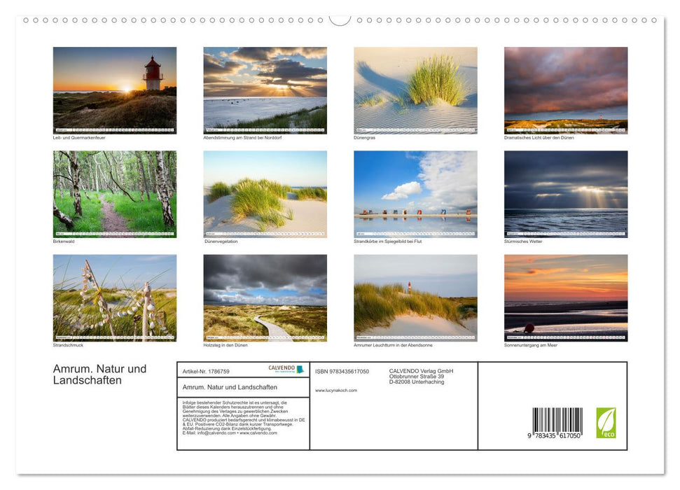 Amrum. Natur und Landschaften (CALVENDO Premium Wandkalender 2025)