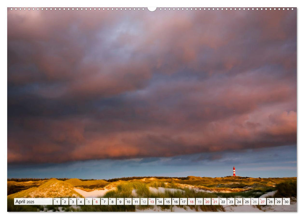 Amrum. Natur und Landschaften (CALVENDO Premium Wandkalender 2025)