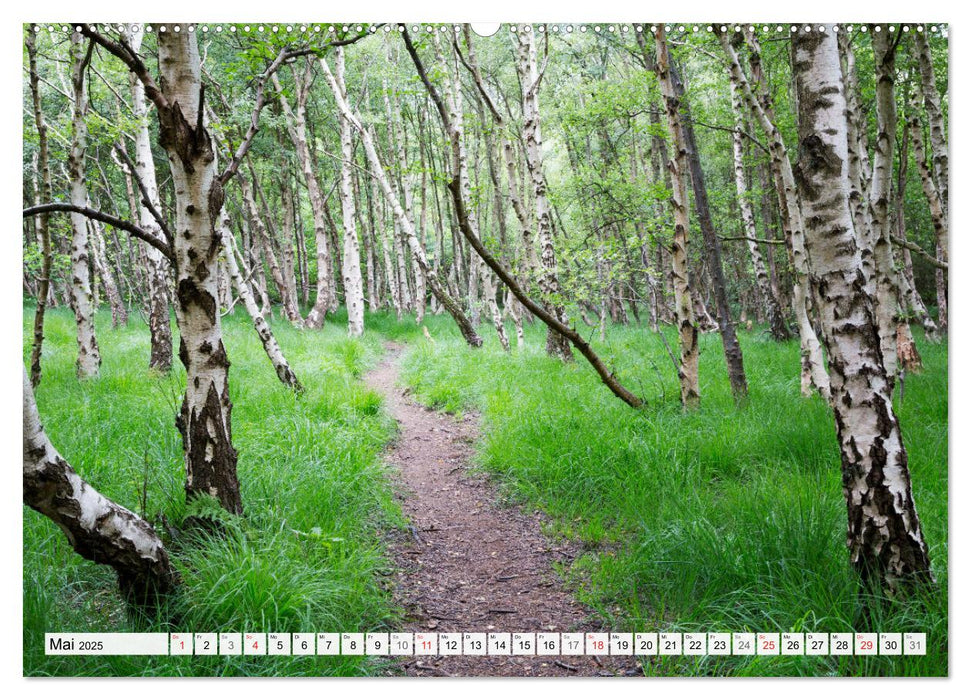 Amrum. Natur und Landschaften (CALVENDO Premium Wandkalender 2025)