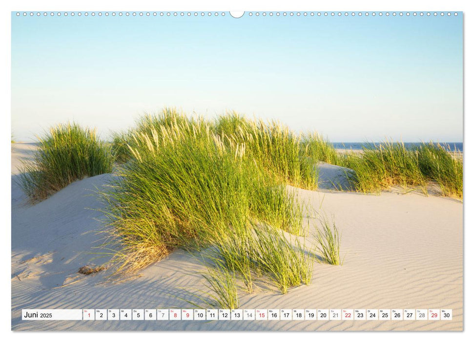 Amrum. Natur und Landschaften (CALVENDO Premium Wandkalender 2025)