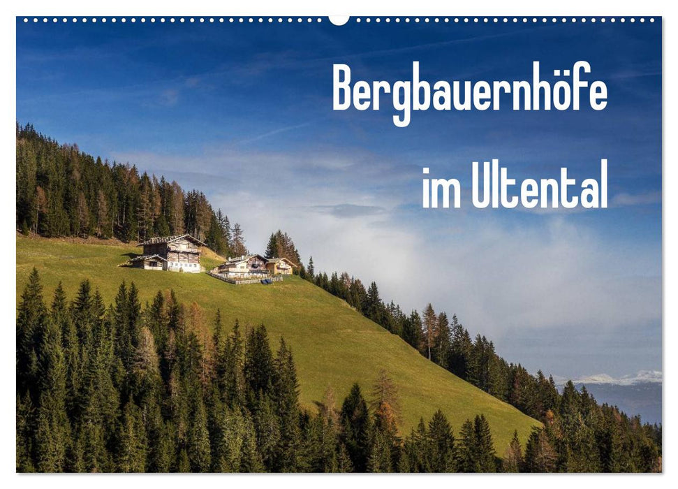 Bergbauernhöfe im Ultental (CALVENDO Wandkalender 2025)