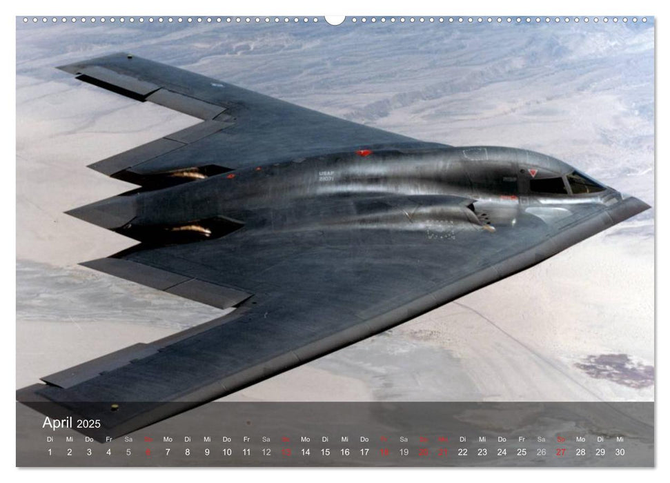 Luftwaffe. Kampfflugzeuge der USA (CALVENDO Premium Wandkalender 2025)