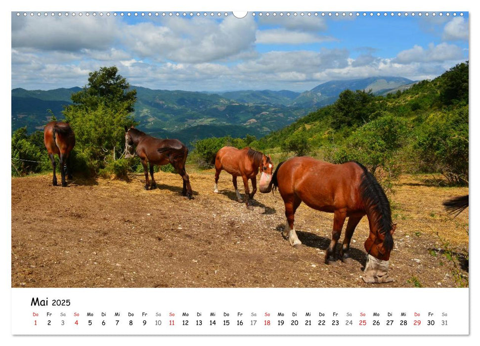 Die Marken, Impressionen aus dem unbekannten Italien (CALVENDO Premium Wandkalender 2025)