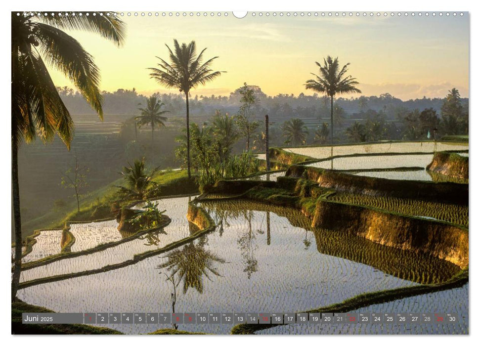 Peter Fischer - Bali 2025 (CALVENDO Premium Wandkalender 2025)