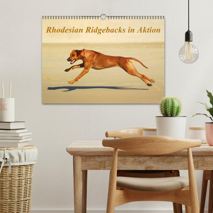 Rhodesian Ridgebacks in Aktion (CALVENDO Wandkalender 2025)