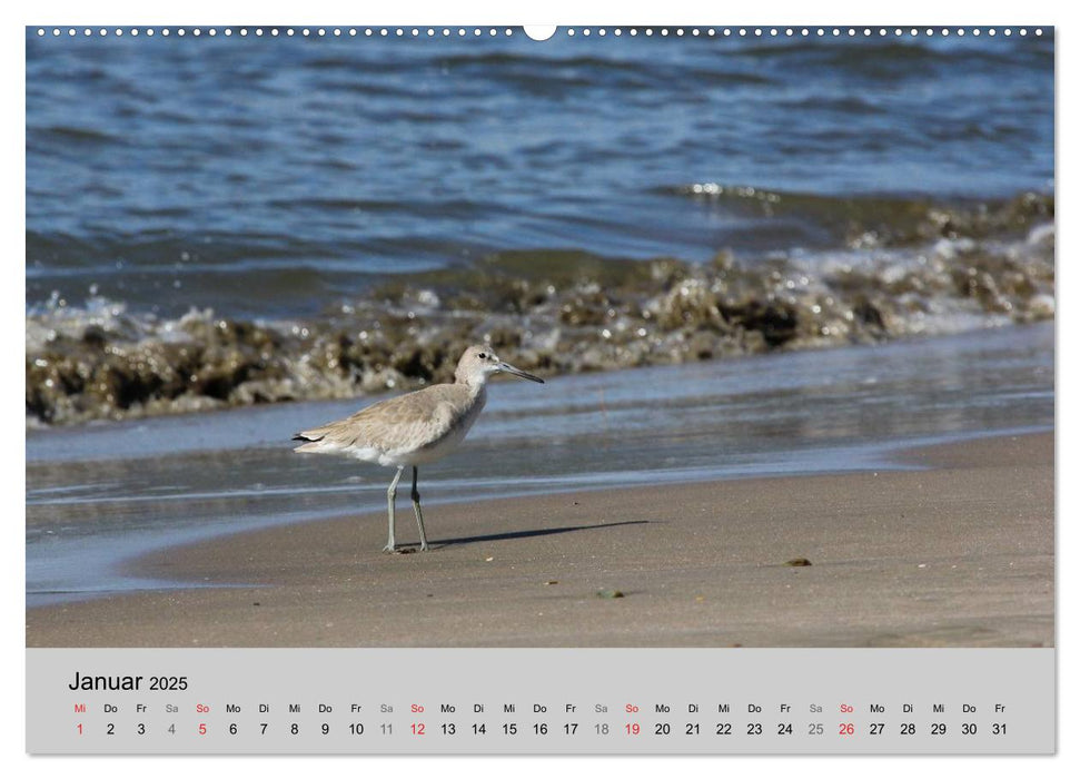 Costa Rica (CALVENDO Premium Wandkalender 2025)