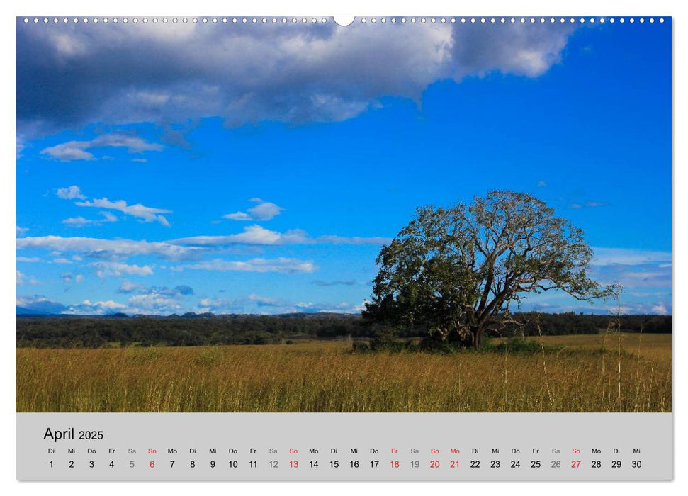 Costa Rica (CALVENDO Premium Wandkalender 2025)