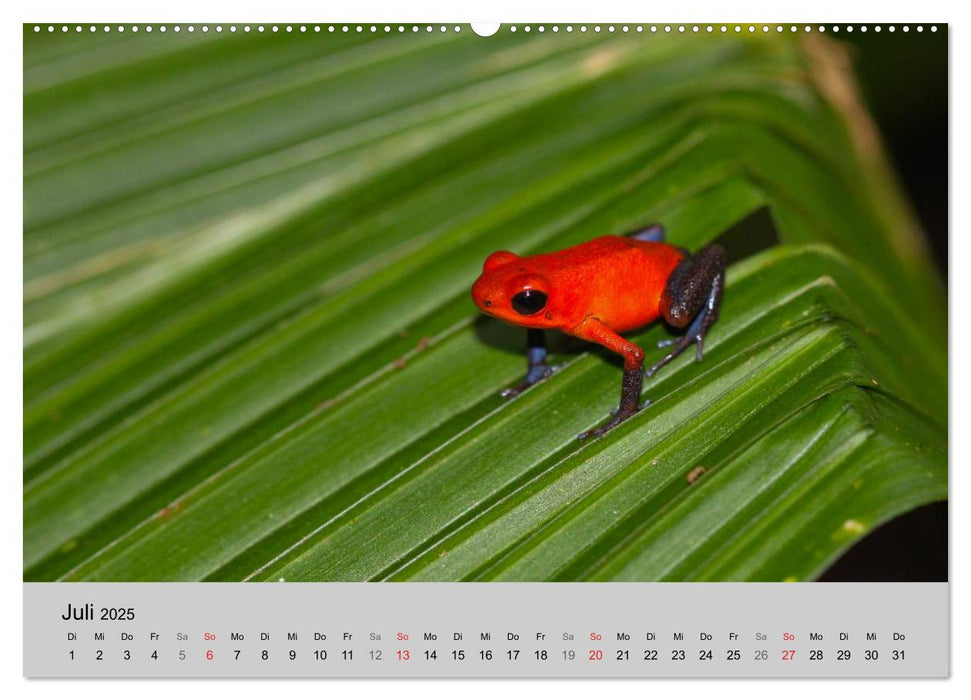 Costa Rica (CALVENDO Premium Wandkalender 2025)