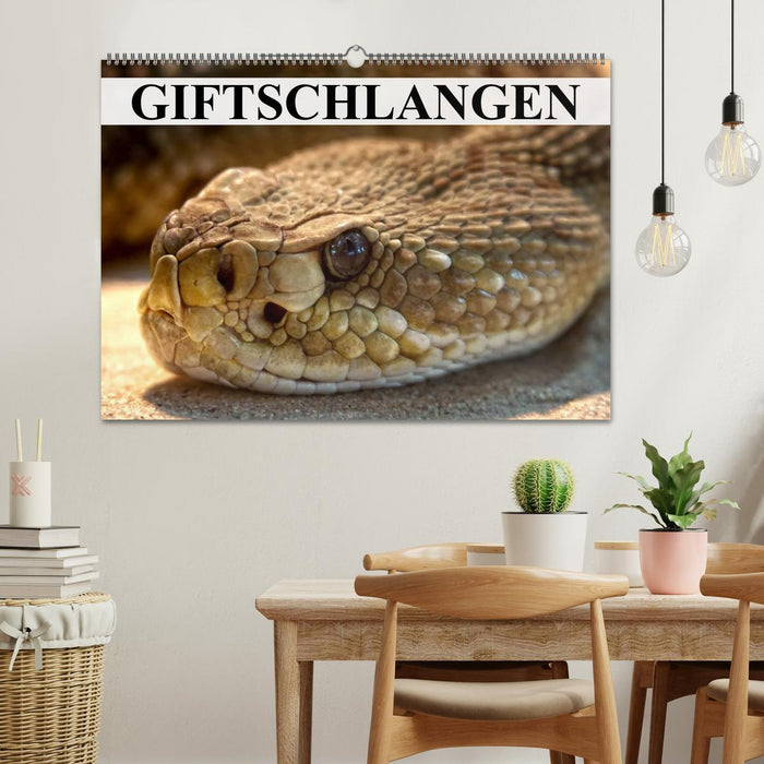 Giftschlangen (CALVENDO Wandkalender 2025)