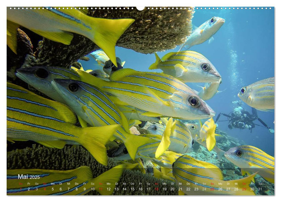 Malediven Impressionen aus dem Paradies (CALVENDO Premium Wandkalender 2025)